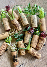 Load image into Gallery viewer, Succulent Wine Cork Magnets (Set of 3)
