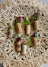 Load image into Gallery viewer, Succulent Wine Cork Magnets (Set of 3)
